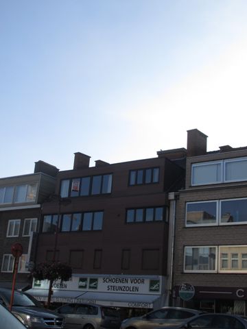 Ruim 3-slaapkamerappartement in hartje Deinze - Foto 5