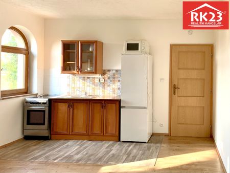 Pronájem bytu 1+kk a garsoniéry 40 m², Drmoul - Fotografie 4