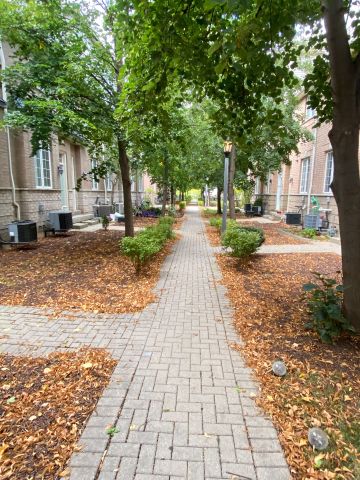 For Lease - 23 Observatory Lane Unit# 245, Richmond Hill, Ontario - Photo 3