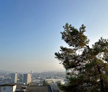 4 Zimmer-Wohnung in Zürich - Kreis 10 Wipkingen, möbliert, auf Zeit - Foto 4