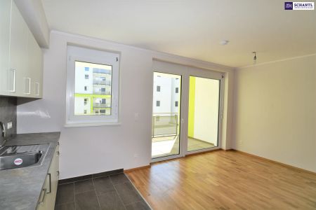 Ideale Hofruhelage! Neuwertige 2 Zimmer Wohnung mit großer Loggia! - Foto 4