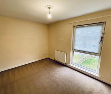 Redwood Lane - Photo 4