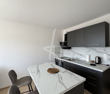 Location Appartement 1 pièce 25m² METZ 57070 - Photo 4