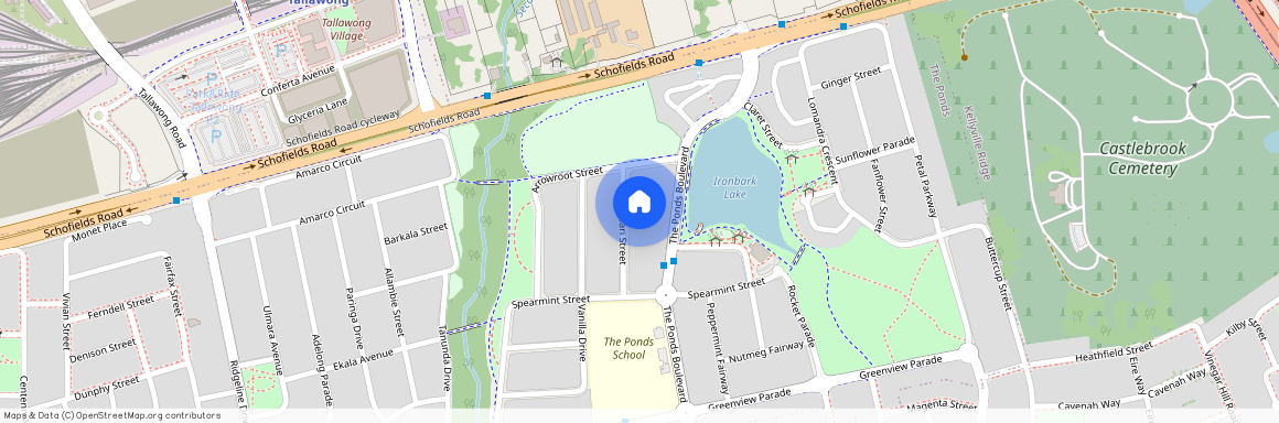 9 Muscari Street, NSW 2769, The Ponds