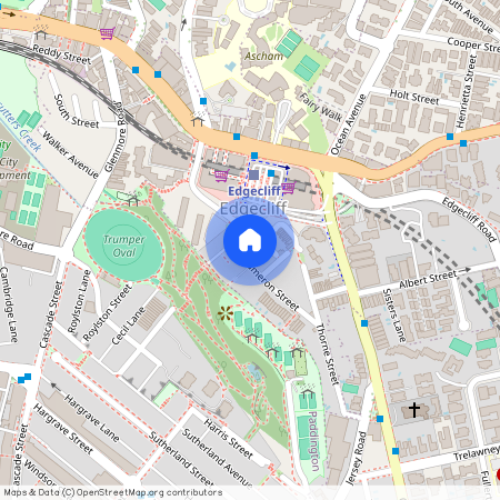 37 CAMERON STREET, NSW 2027, Edgecliff