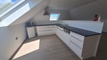 Instapklaar, lichtrijk en energiezuinig appartement in het centrum van Poperinge (EPC-label B). - Photo 3