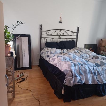 Chambre 1 1/2 acceptant 1 chat - Photo 3