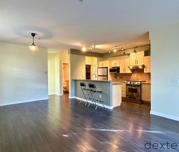 9229 University Crescent #100 - Photo 6