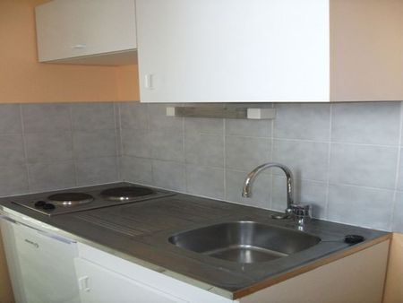 Appartement - 2 pièces - Jardin Lecoq/Facultés - Photo 3