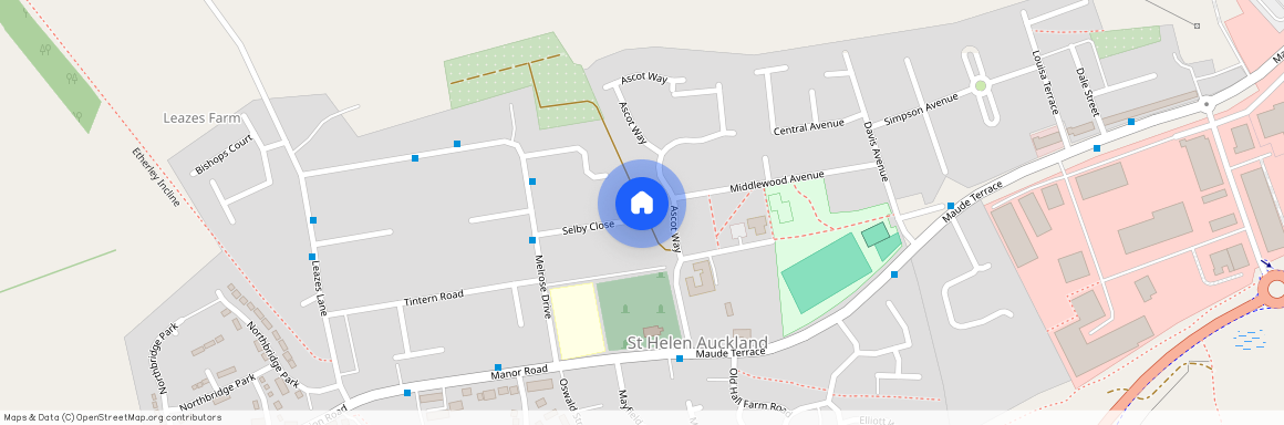 Ascot Way, St Helen Auckland