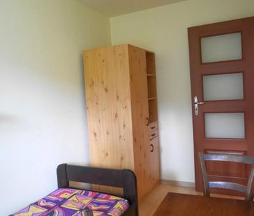 2 pokoje, od zaraz, blisko WSIZ - Photo 6