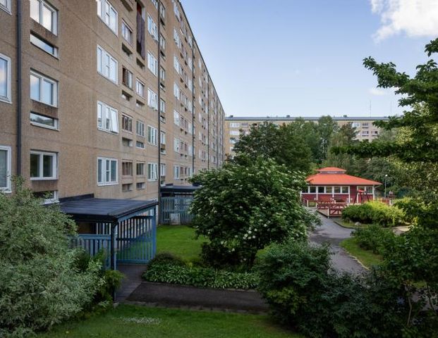 Fjällnejlikan 3 - Foto 1