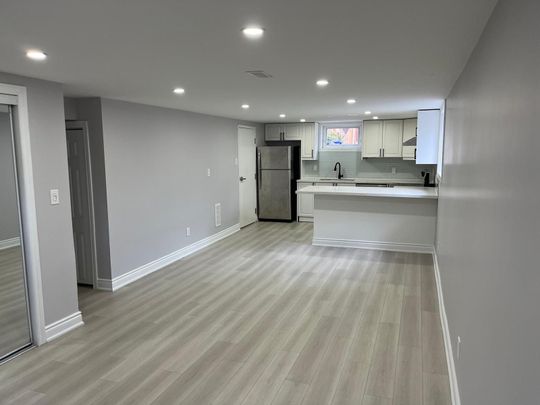 For Lease - 15 Camille Court Unit# Lower, Hamilton, Ontario - Photo 1