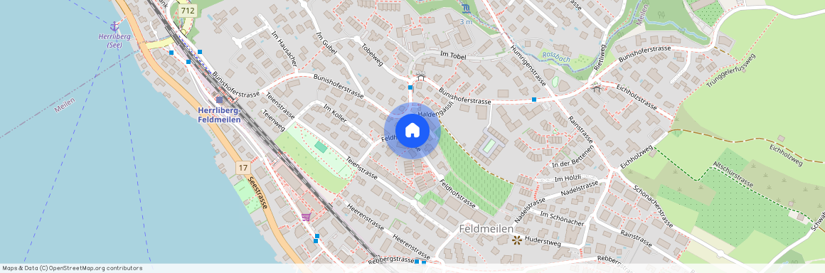 Haldengässli 4, 8706 Feldmeilen