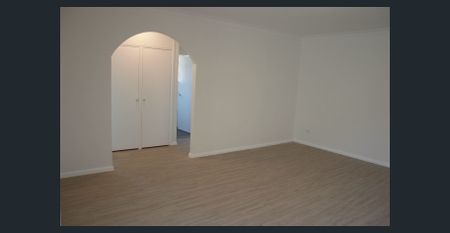 Massive! Huge! Renovated! - Photo 5