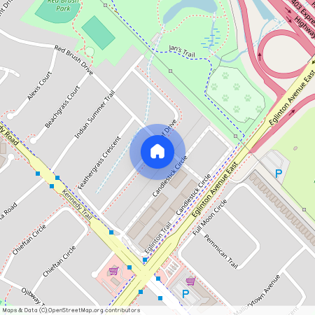 592 Leatherleaf Drive, Mississauga