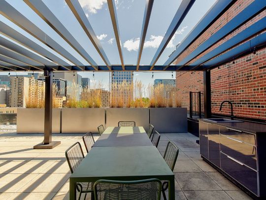 1406 Rue Ste Élisabeth, Montréal (Ville-Marie), QC H2X - Photo 1