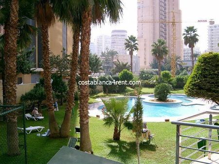 Benidorm Levante Winter let - Photo 3