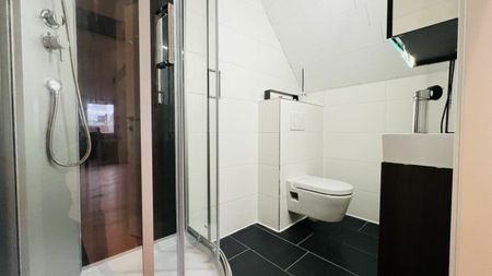 Neu renoviertes 6-Zimmer Doppelhaus mit Parkplätzen, Sitzplatz und Garten - Foto 4