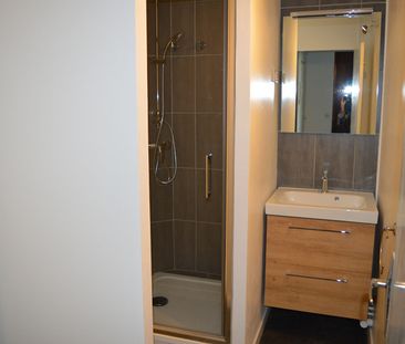 Location Appartement 1 pièce 26m² - Photo 3