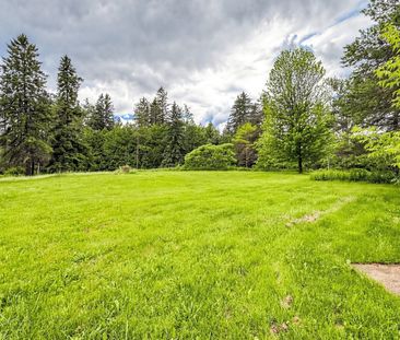 For Lease - 52 Pine Post Road Unit# BASEMENT, Georgina, Ontario - Photo 5