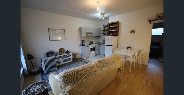 Hidden Gem at the City's Doorstep - Photo 1