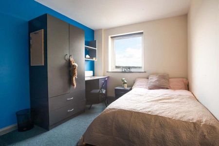 1 bedroom in a flat share to rent - Photo 2