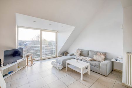 Duplex te huur in Temse - Photo 3