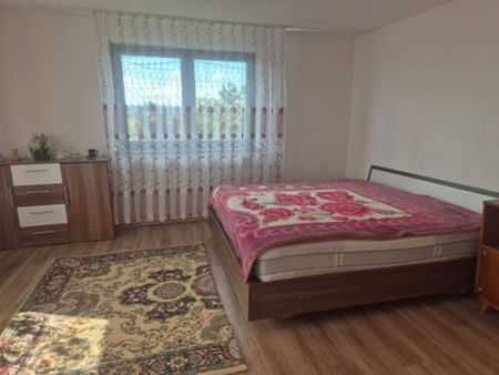 Casa individuala, de inchiriat, sat Romanesti - Fotografie 2