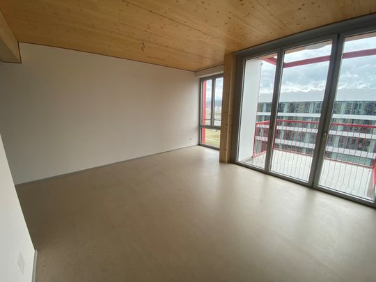 Moderne Wohnung in Winterthur - Foto 1