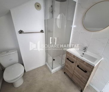 Location Appartement 1 pièce 17m² CAMBRAI 59400 - Photo 4