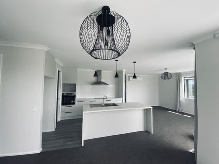 New Large Family Home - Photo 3