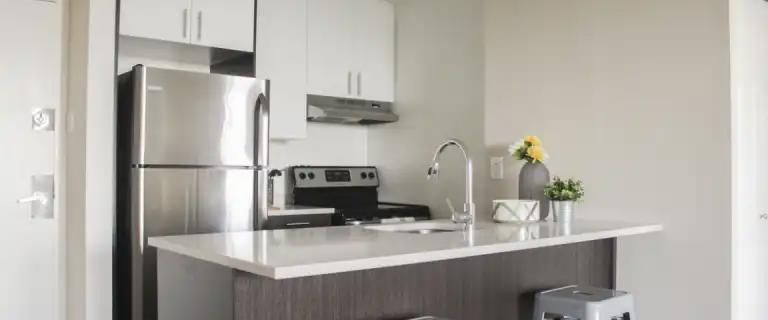 1101 Rachel | 1101 Rue Rachel Est, Montreal - Photo 1