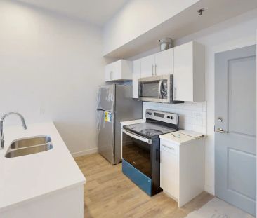 Chuka Lofts — SM 1 Bedroom - Photo 1