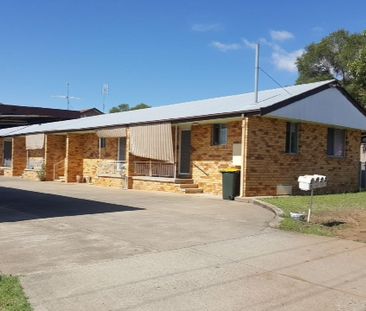 SOUTH TAMWORTH - Light and Bright Renovated Unit - Photo 1