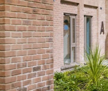 Social Ensuite - Photo 4