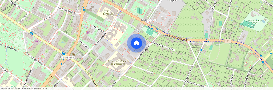 Chemin de la Florence, 1208 Genève