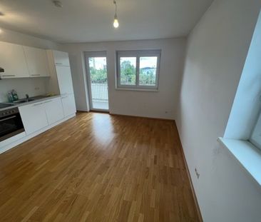 PROVISIONSFREI – Jakomini – 56 m² – 3 Zimmer – WG geeignet – großer... - Photo 4