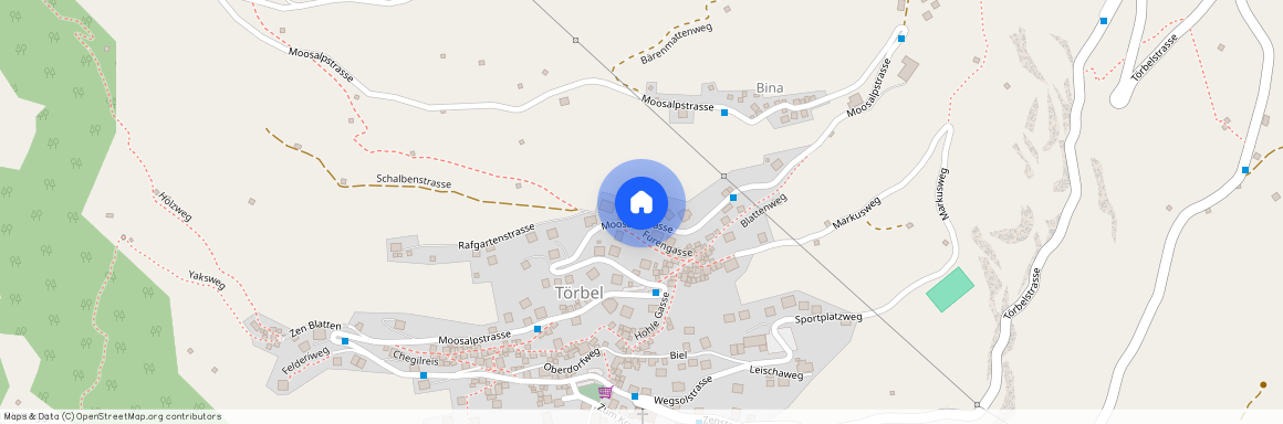 3923, Törbel, Moosalpstrasse, 157