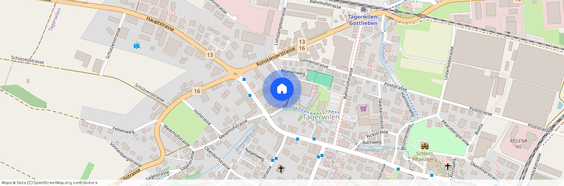 8274, Tägerwilen, Palmenweg, 5