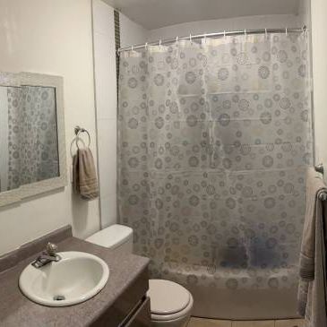 Large Furnished 1 Bedroom in the West End - Photo 4