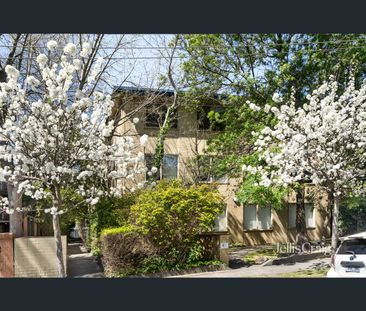 2/853 Toorak Road, Hawthorn East, Vic 3123 - Photo 3