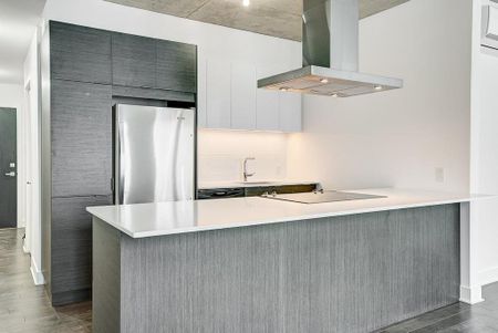 Appartement à louer - Montréal (Ville-Marie) (Centre Ouest) - Photo 4