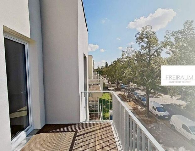 Hochwertige 2-Zimmer-Wohnung mit TERRASSE und EBK im Weißenseer Neubauquartier FREIRAUM - Foto 1