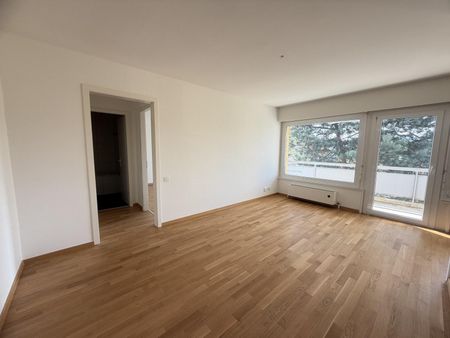Joli 2 pièces avec son grand balcon. - Photo 4