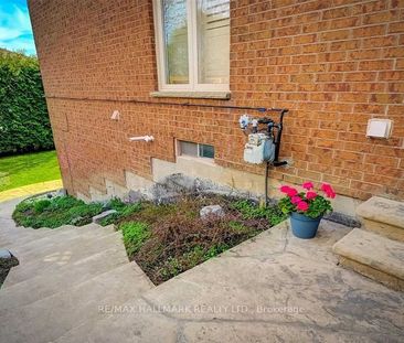 For Lease - 76 Topham Crescent Unit# Bsmt, Richmond Hill, Ontario - Photo 5