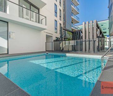 146/264 City Walk, City ACT 2601 - Apartment For Rent | Domain - Photo 6
