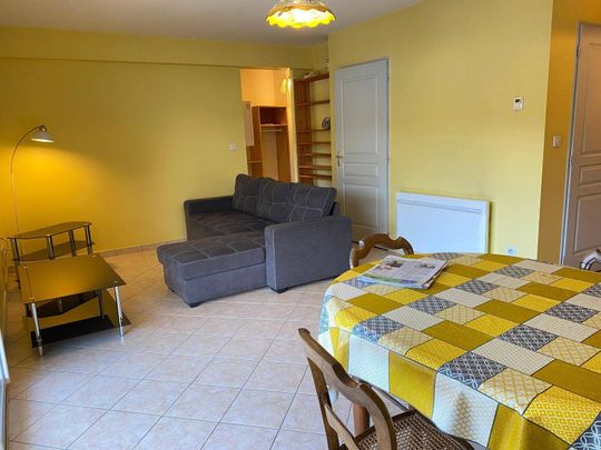 Location appartement 2 pièces 52.25 m² à Vals-les-Bains (07600) 4 - Photo 1