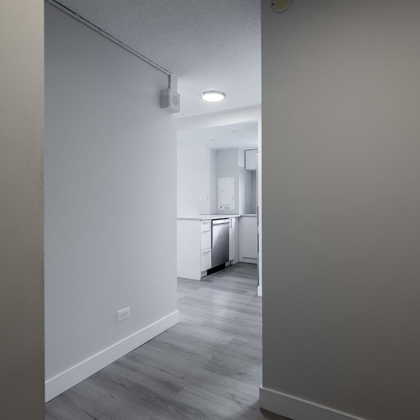 Sunny 1 Bedroom Unit - Downtown Montreal - 2000 Saint-Marc Street, Montréal - Photo 1