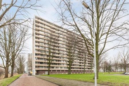 Langswater 1069 Amsterdam - Photo 3